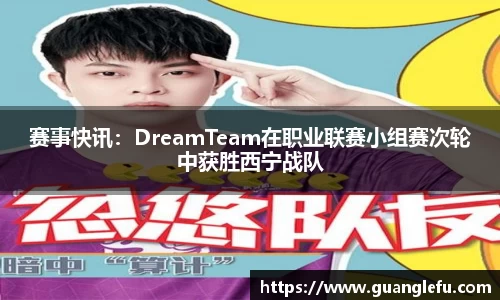 赛事快讯：DreamTeam在职业联赛小组赛次轮中获胜西宁战队