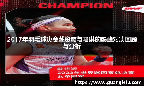 2017年羽毛球决赛戴资颖与马琳的巅峰对决回顾与分析